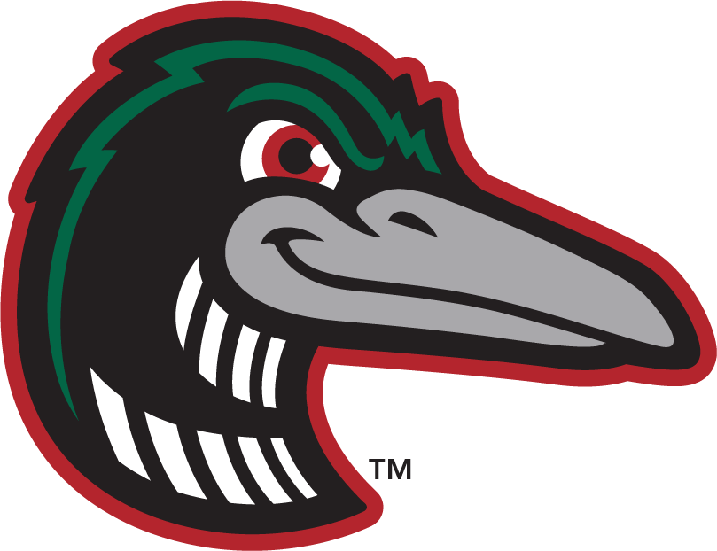 Great Lakes Loons 2016-Pres Alternate Logo v3 iron on transfers for clothing